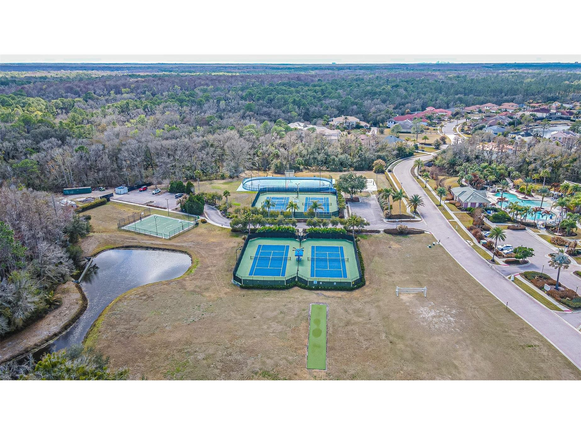 10859 Cory Lake Drive Tampa FL 33647 TB8478365 image49