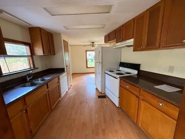 10859 SE 131st Place Ocklawaha FL 32179 S5139805 image5