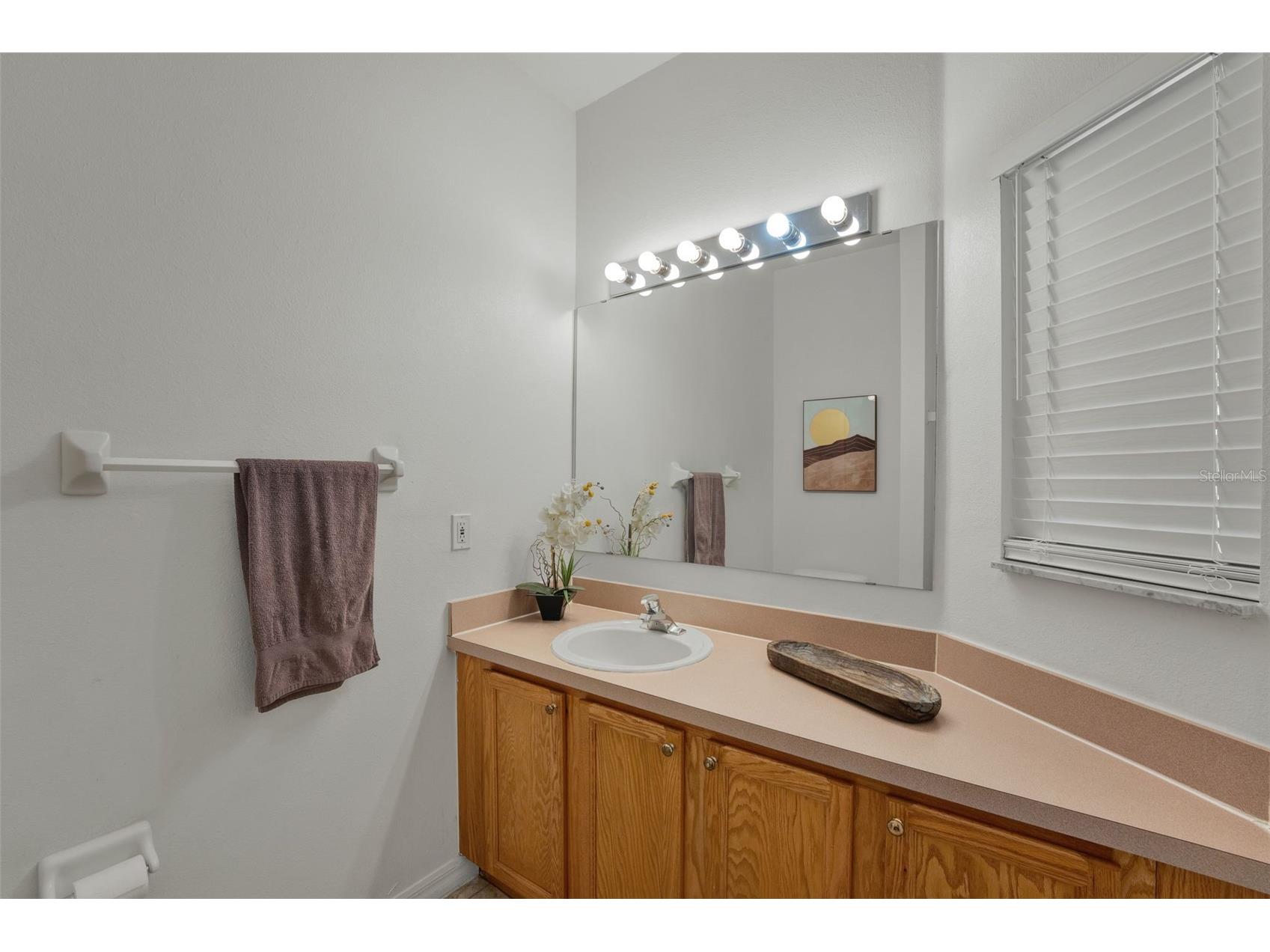 1086 Park Ridge Circle Kissimmee FL 34746 O6375057 image16