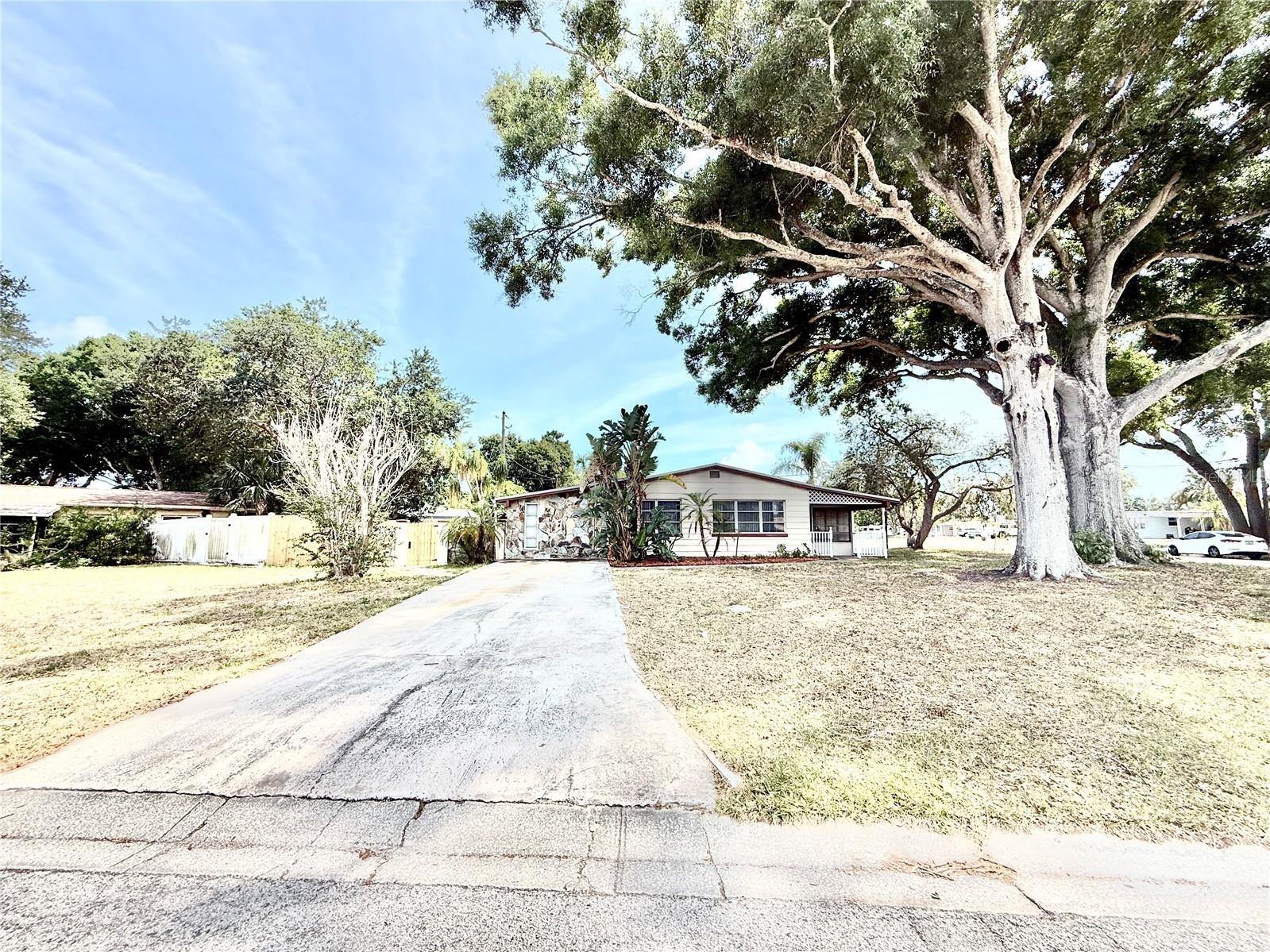 10862 Village Green Avenue Seminole FL 33772 TB8504772 image22