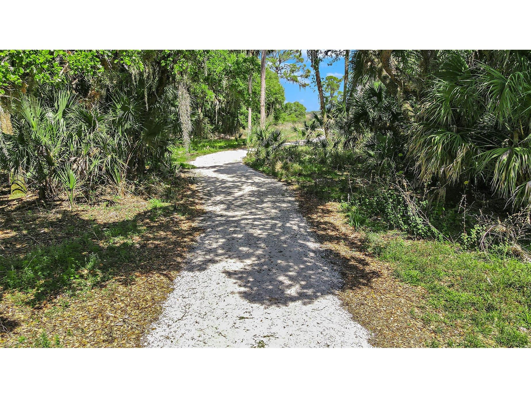 10863 Eclipse Street Sarasota FL 34241 A4690449 image16