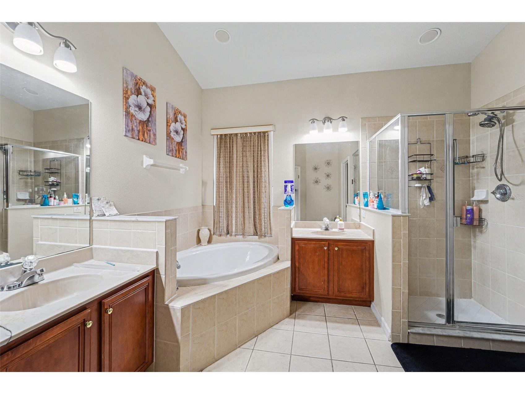 10864 Cory Lake Drive Tampa FL 33647 TB8490749 image16