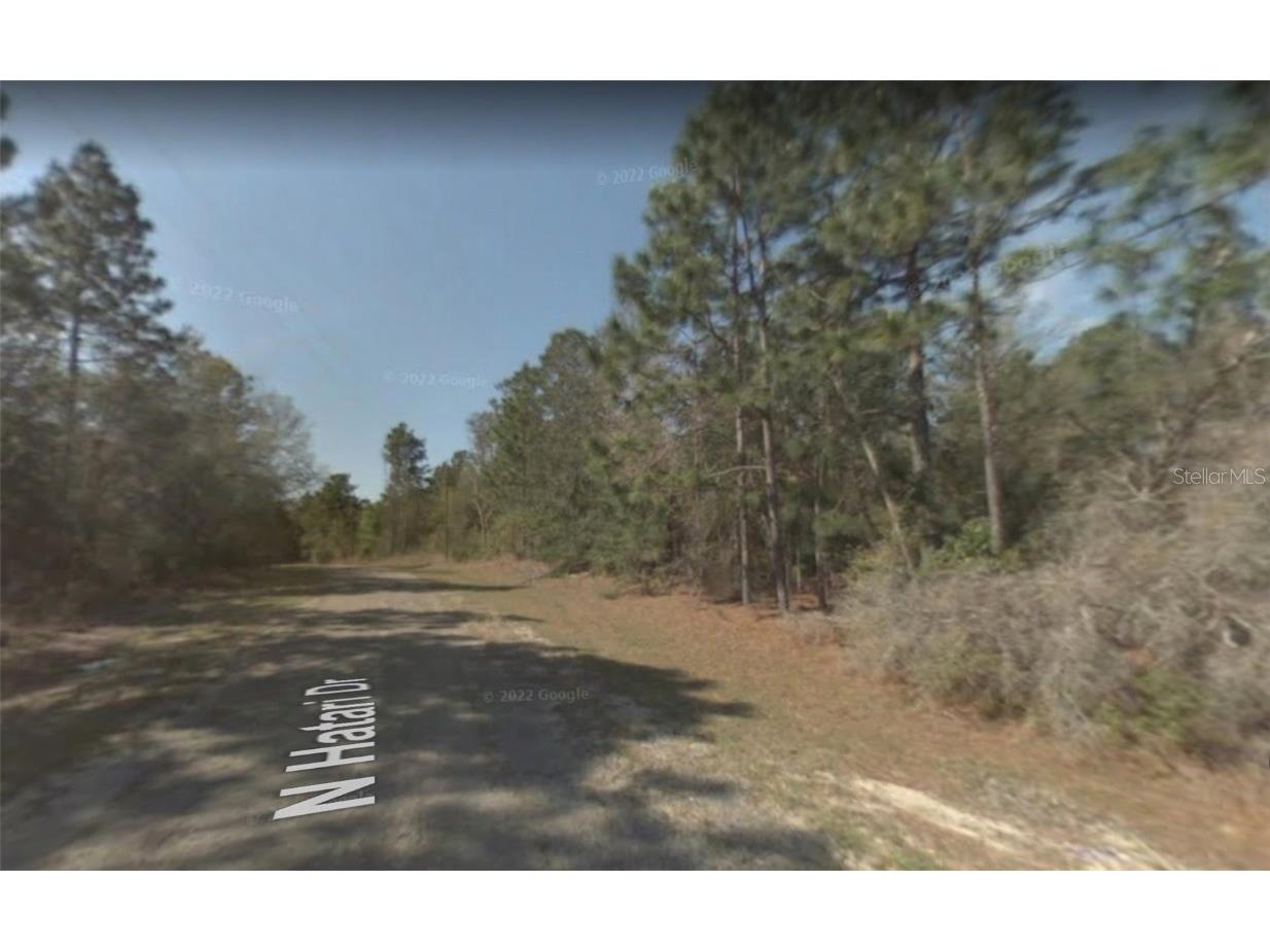 10864 N Hatari Drive Citrus Springs FL 34434 OM646389 image1
