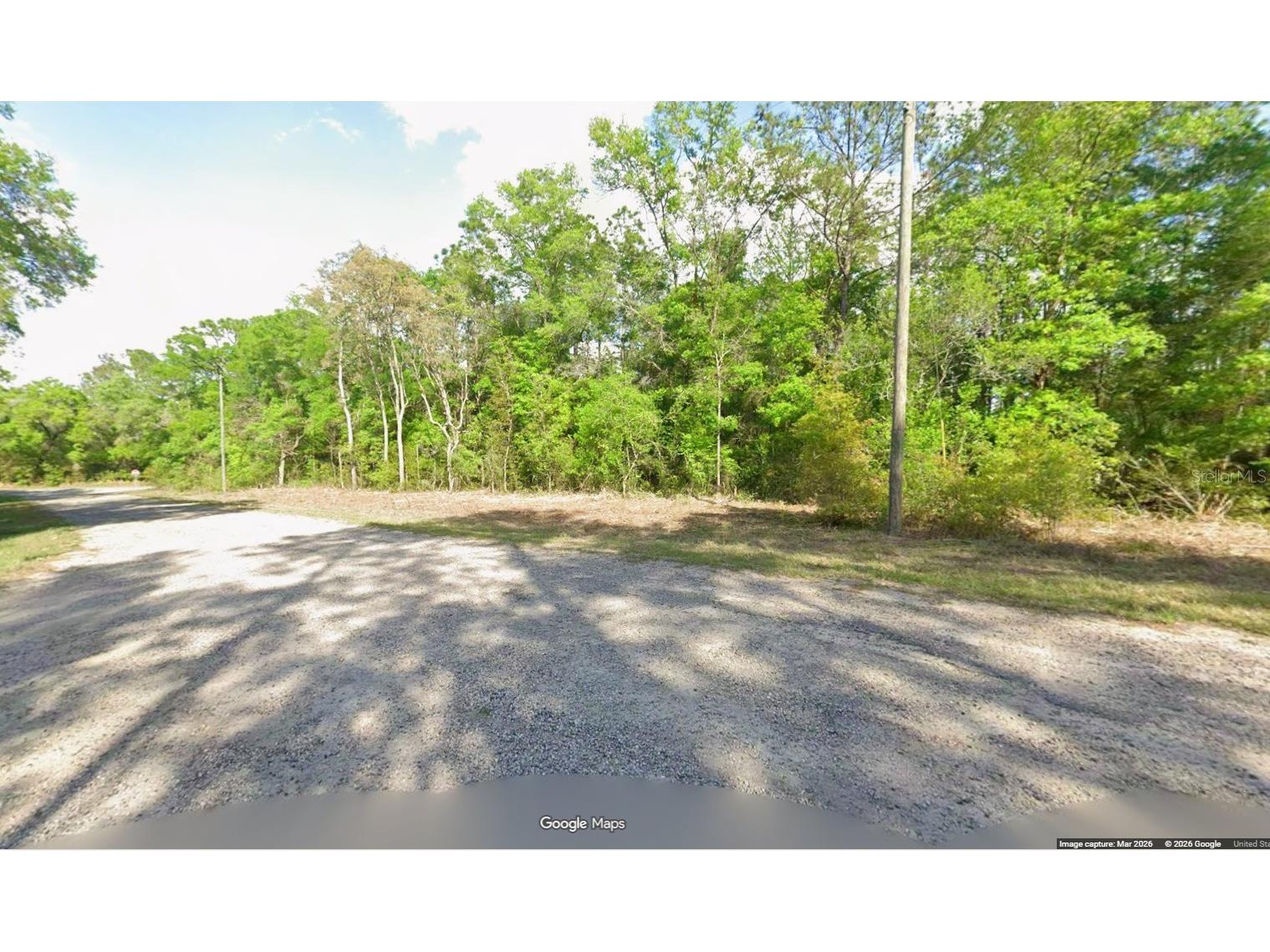 10865 N Hatari Drive Citrus Springs FL 34434 OM725358 image1