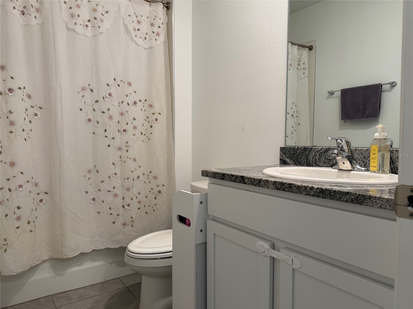10866 Quail Grove Way San Antonio FL 33576 TB8518549 image11