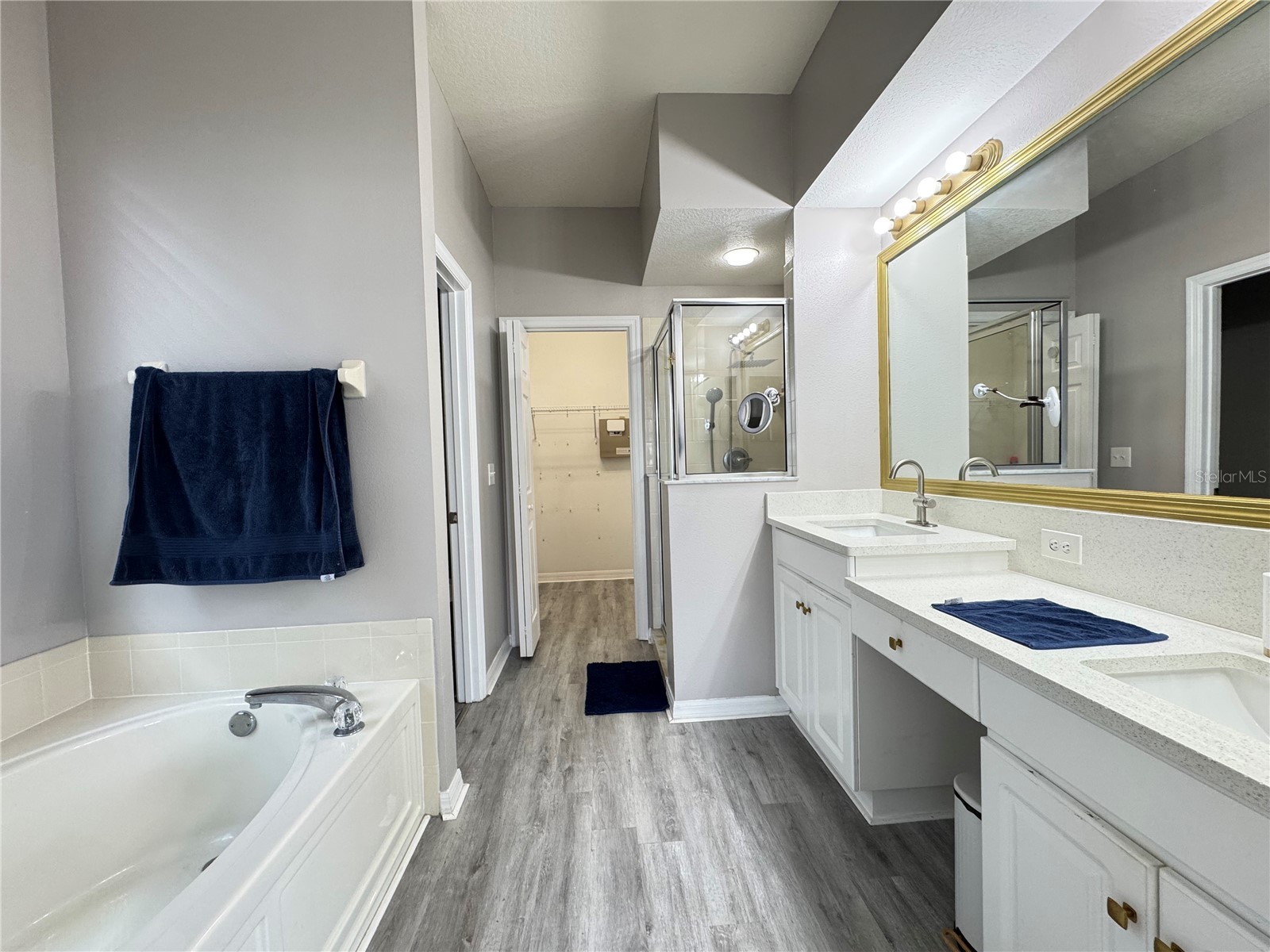 10868 Standing Stone Drive Wimauma FL 33598 O6423456 image22