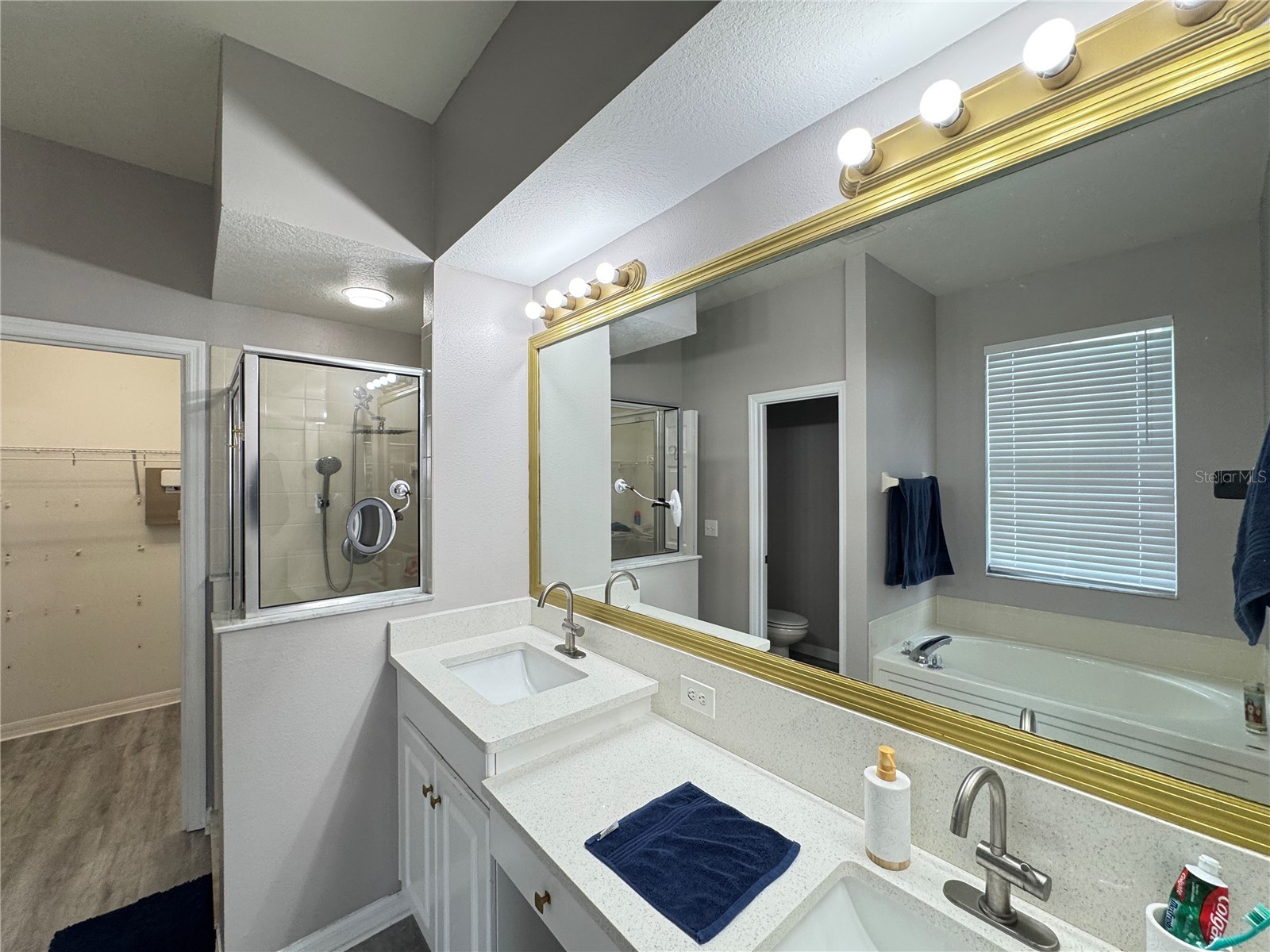 10868 Standing Stone Drive Wimauma FL 33598 O6423456 image23