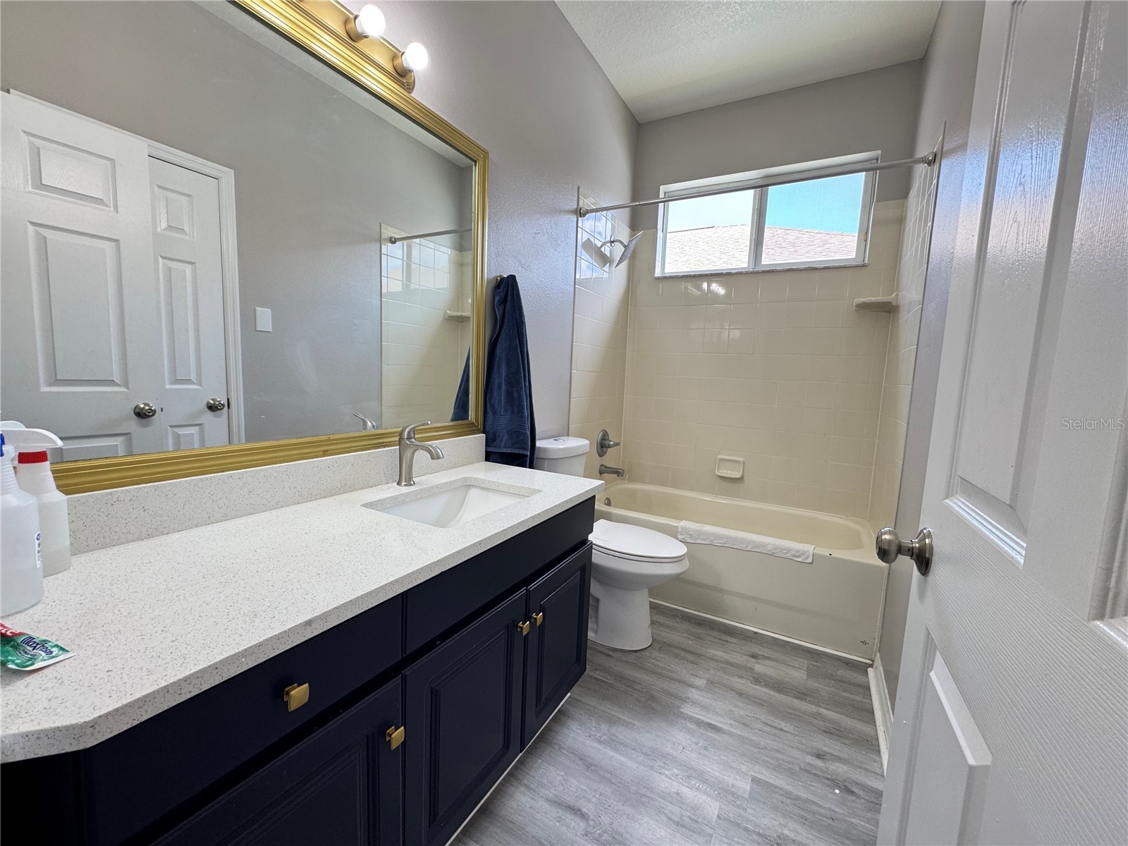 10868 Standing Stone Drive Wimauma FL 33598 O6423456 image33