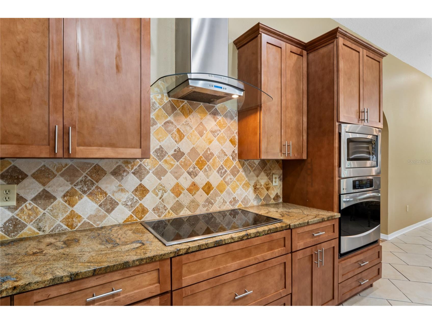 1087 Riverside Ridge Tarpon Springs FL 34688 - ANCLOTE RIVER W7886068 image22