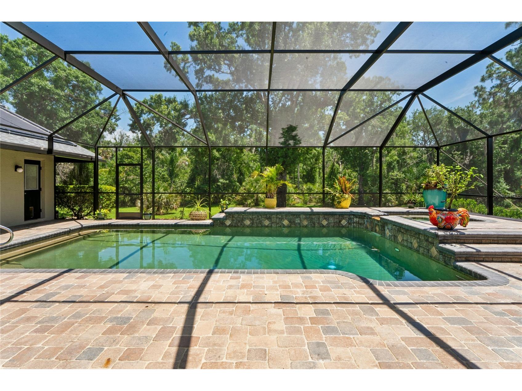 1087 Riverside Ridge Tarpon Springs FL 34688 - ANCLOTE RIVER W7886068 image65