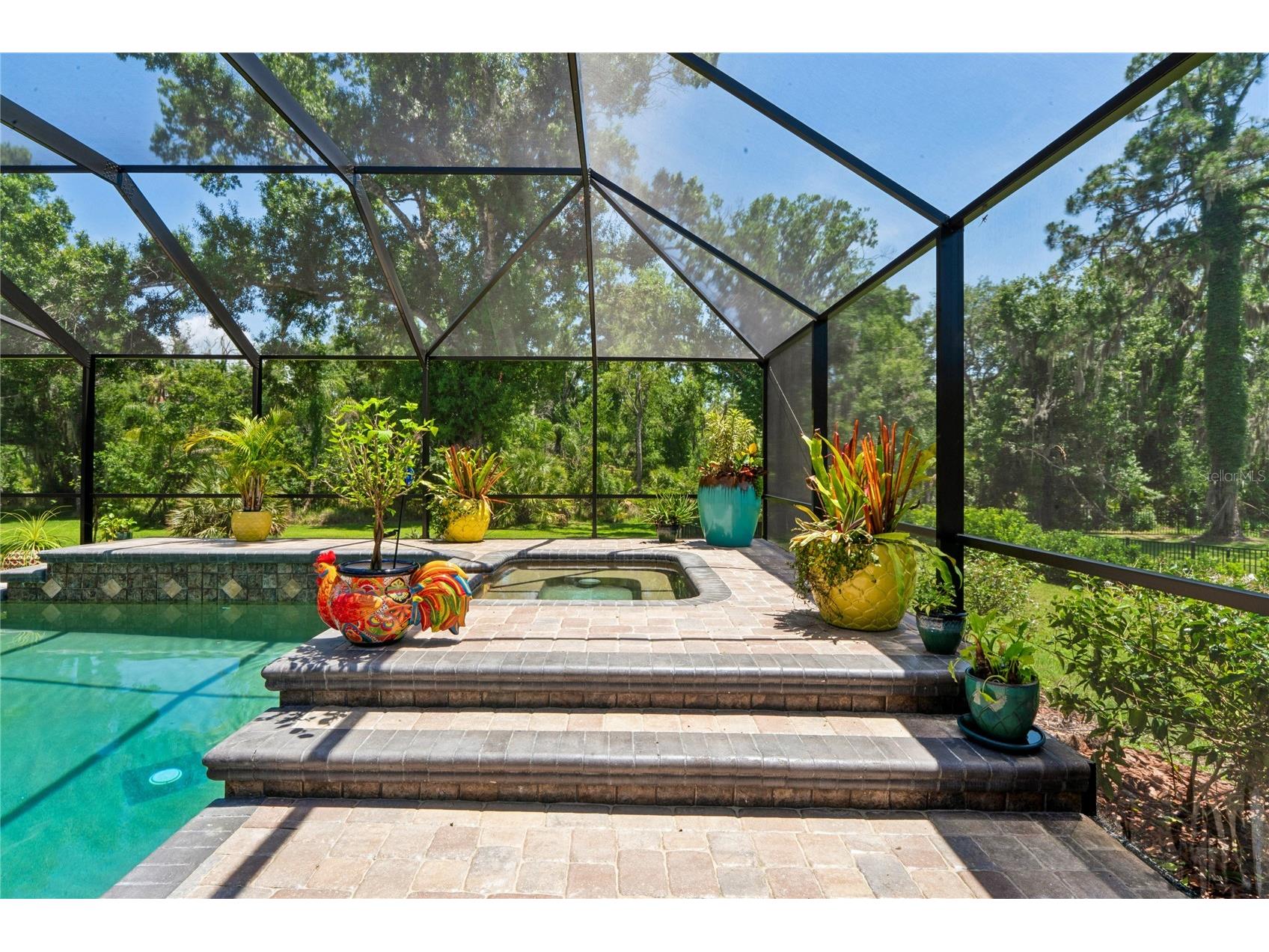 1087 Riverside Ridge Tarpon Springs FL 34688 - ANCLOTE RIVER W7886068 image7