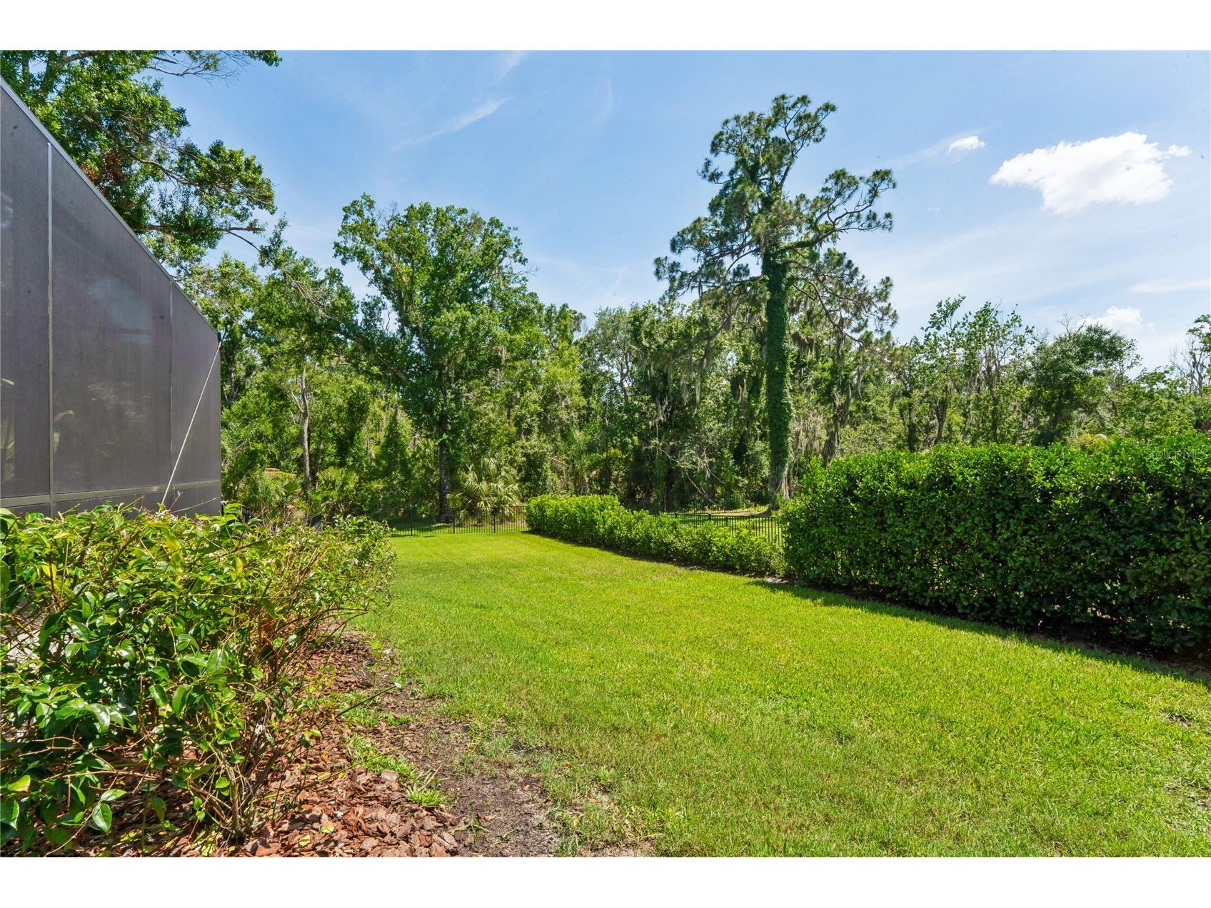1087 Riverside Ridge Tarpon Springs FL 34688 - ANCLOTE RIVER W7886068 image78