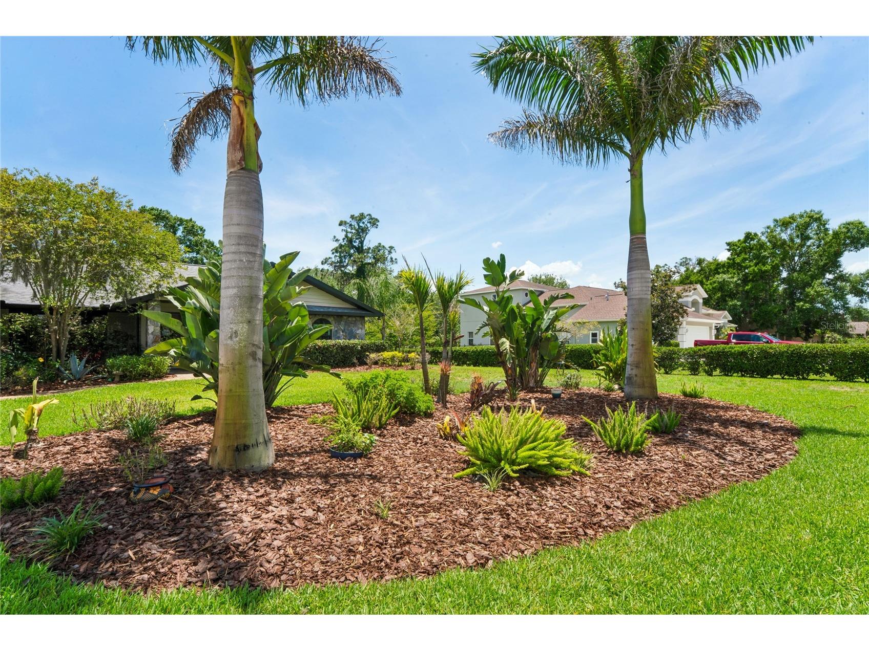 1087 Riverside Ridge Tarpon Springs FL 34688 - ANCLOTE RIVER W7886068 image83