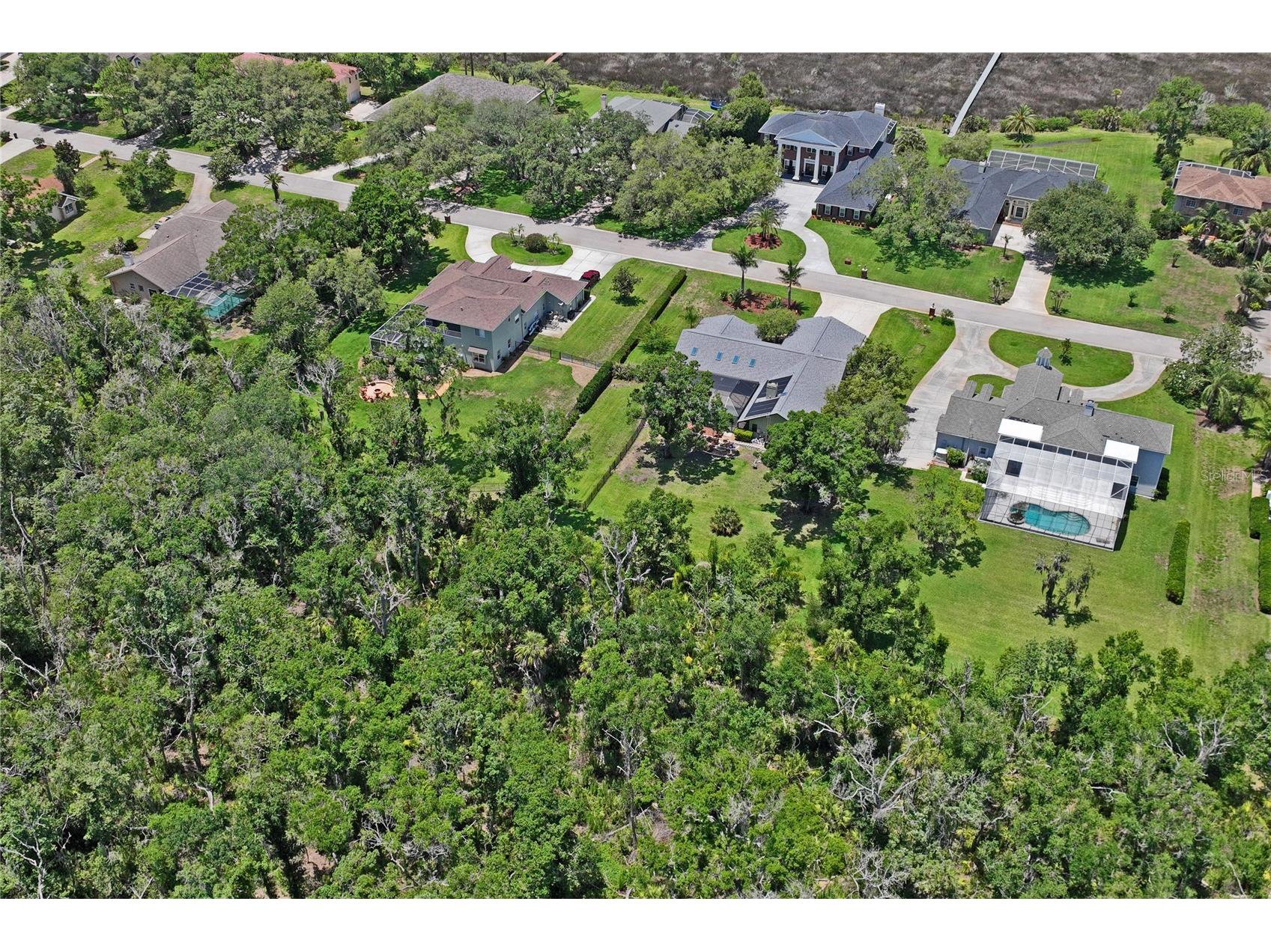 1087 Riverside Ridge Tarpon Springs FL 34688 - ANCLOTE RIVER W7886068 image88
