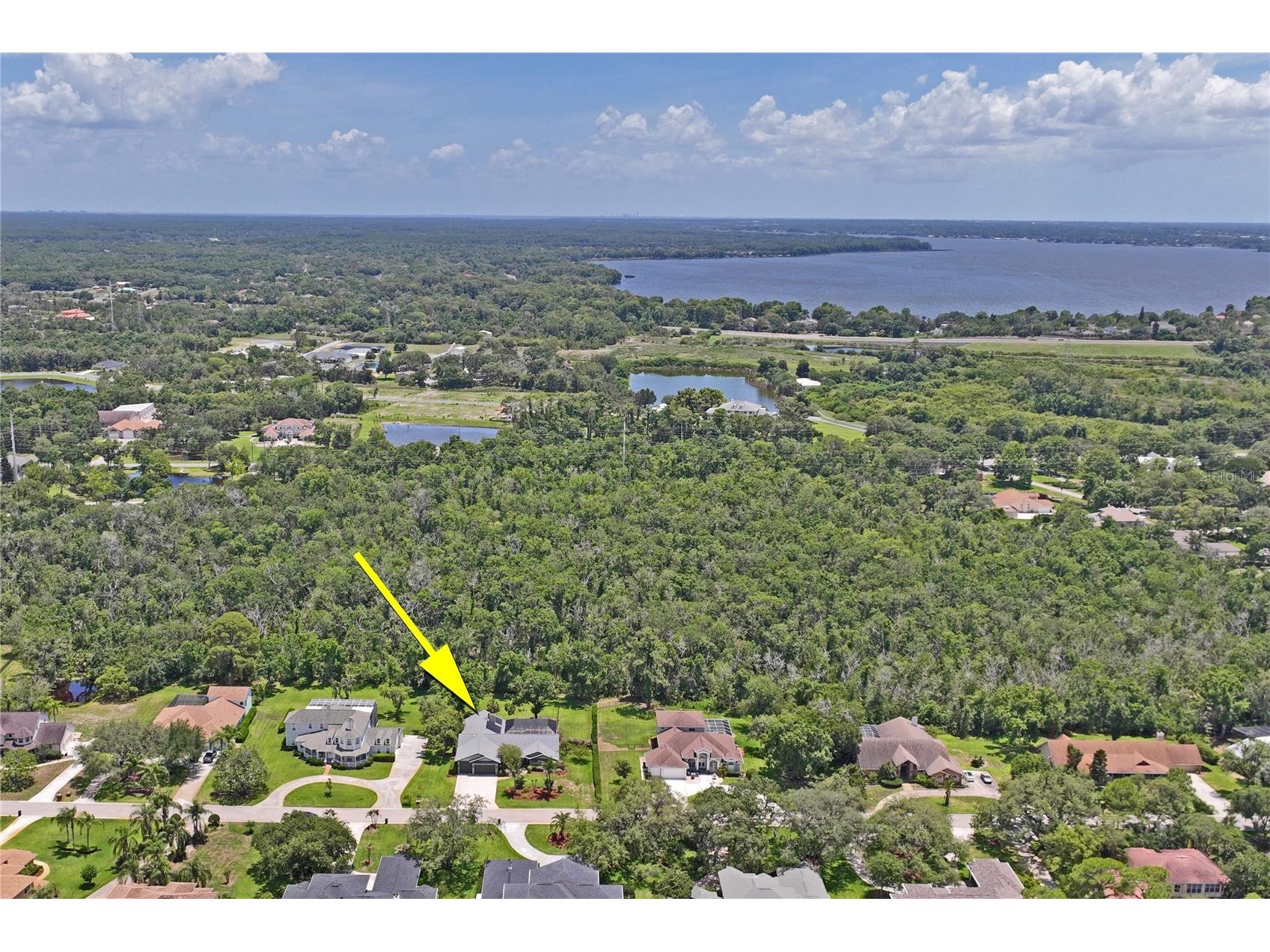 1087 Riverside Ridge Tarpon Springs FL 34688 - ANCLOTE RIVER W7886068 image89