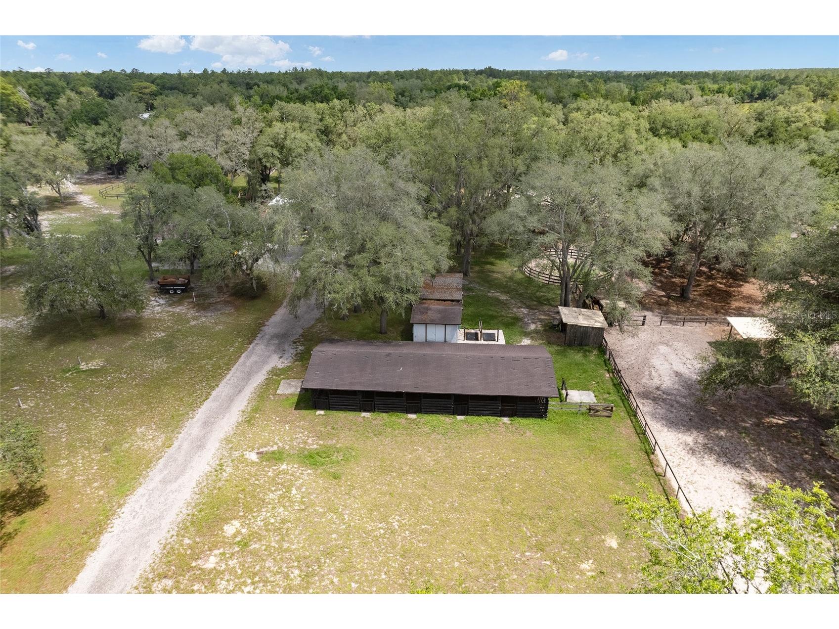 10871 SE County Road 336 Morriston FL 32668 OM725937 image11