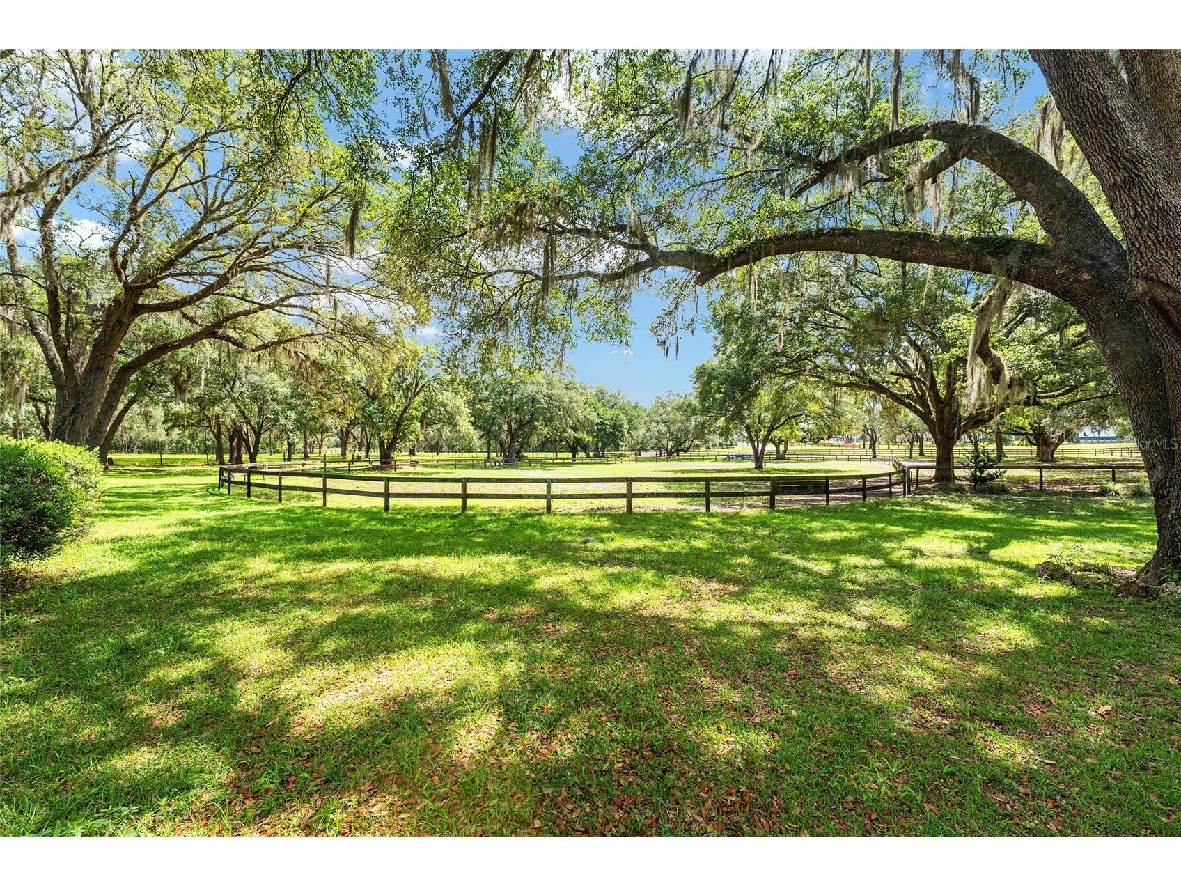 10871 SE County Road 336 Morriston FL 32668 OM725937 image50