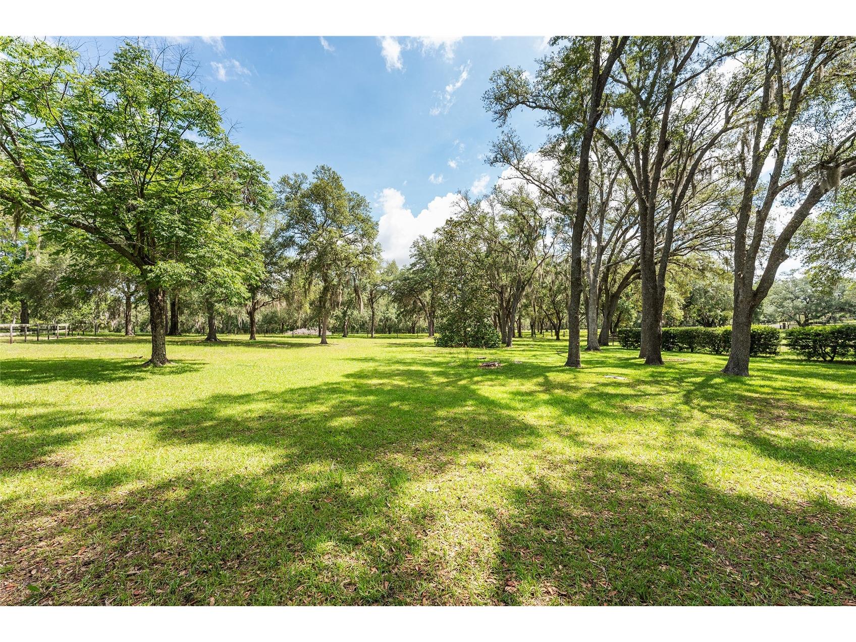 10871 SE County Road 336 Morriston FL 32668 OM725937 image51