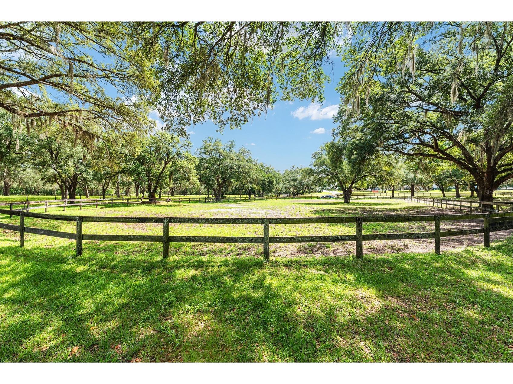 10871 SE County Road 336 Morriston FL 32668 OM725937 image52