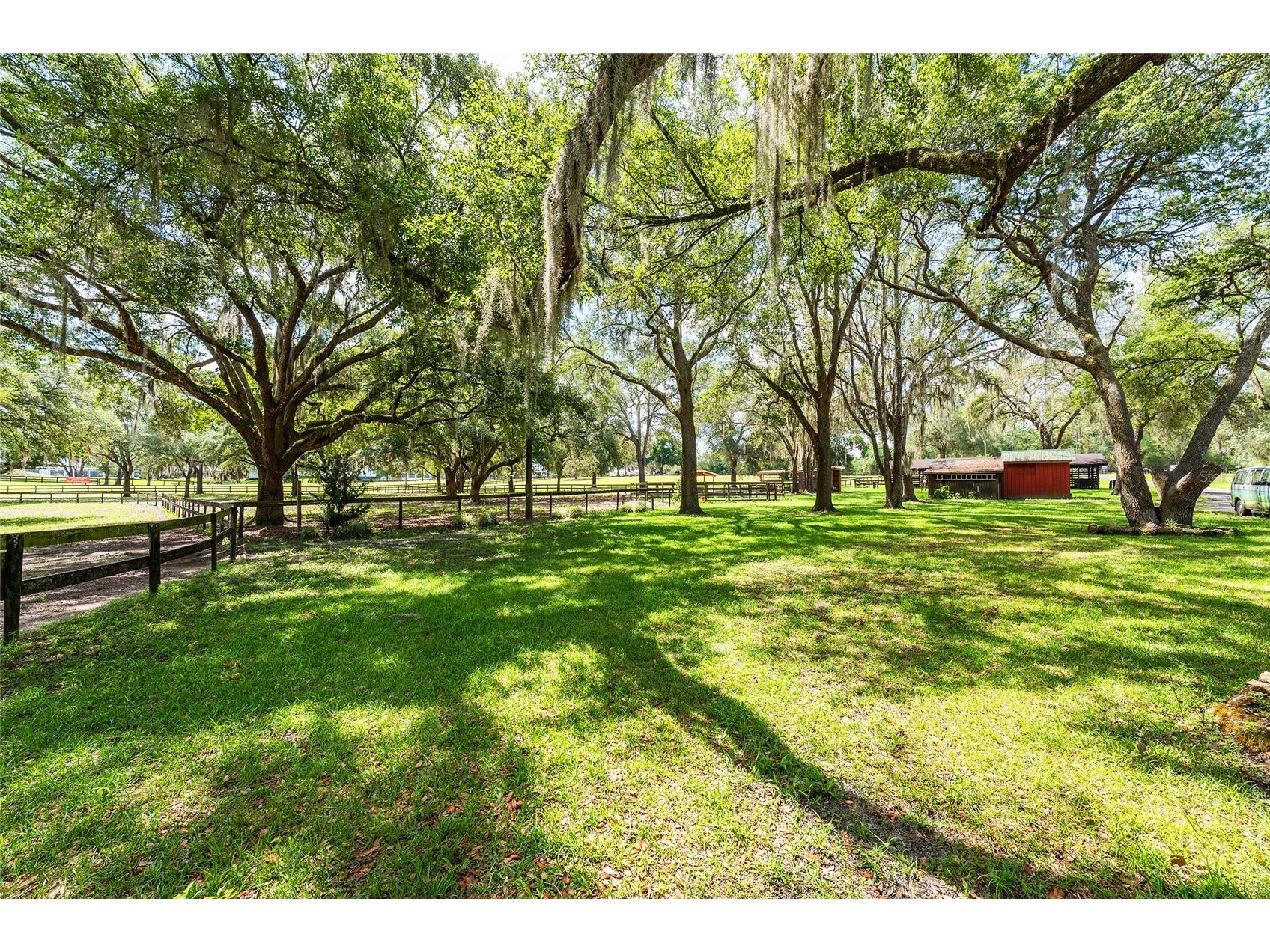 10871 SE County Road 336 Morriston FL 32668 OM725937 image53