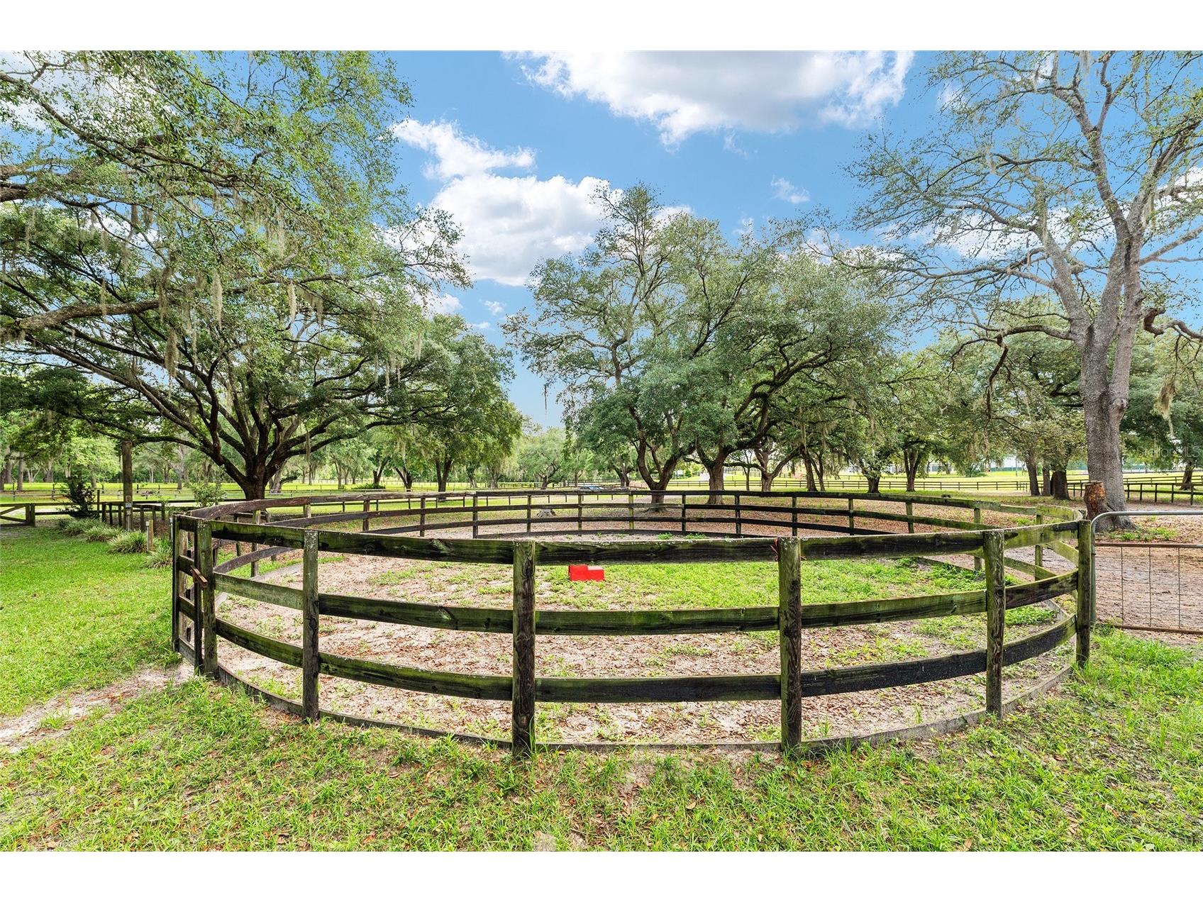 10871 SE County Road 336 Morriston FL 32668 OM725937 image55