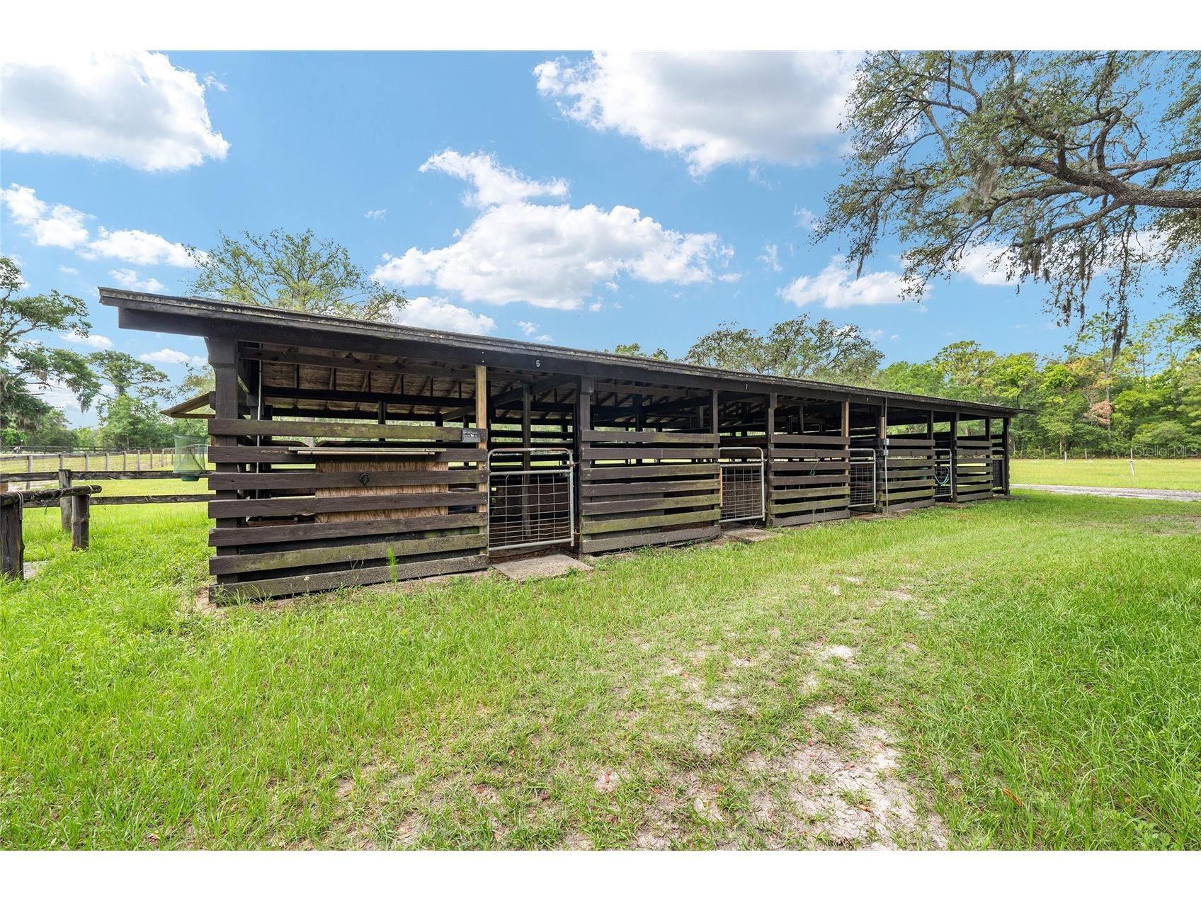 10871 SE County Road 336 Morriston FL 32668 OM725937 image56