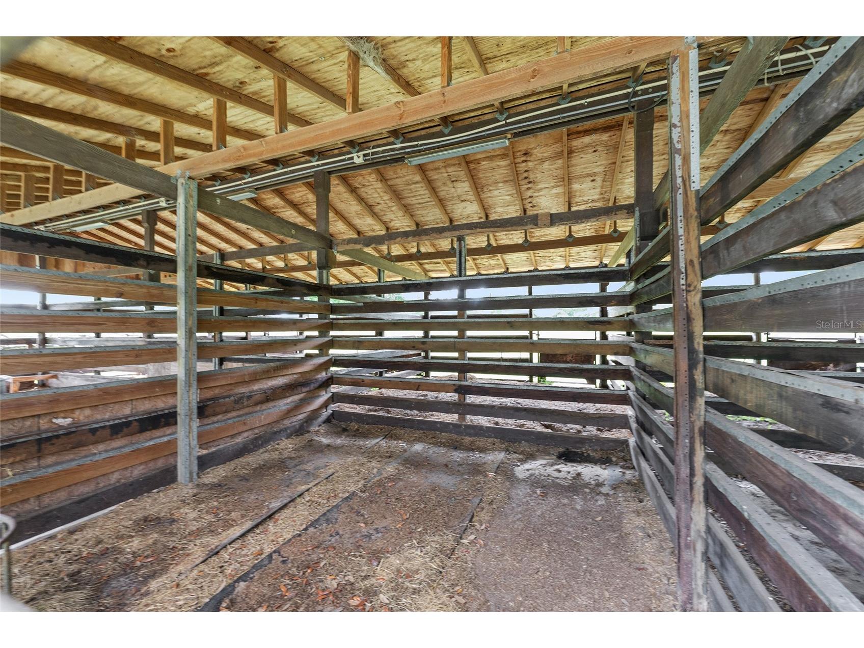 10871 SE County Road 336 Morriston FL 32668 OM725937 image57