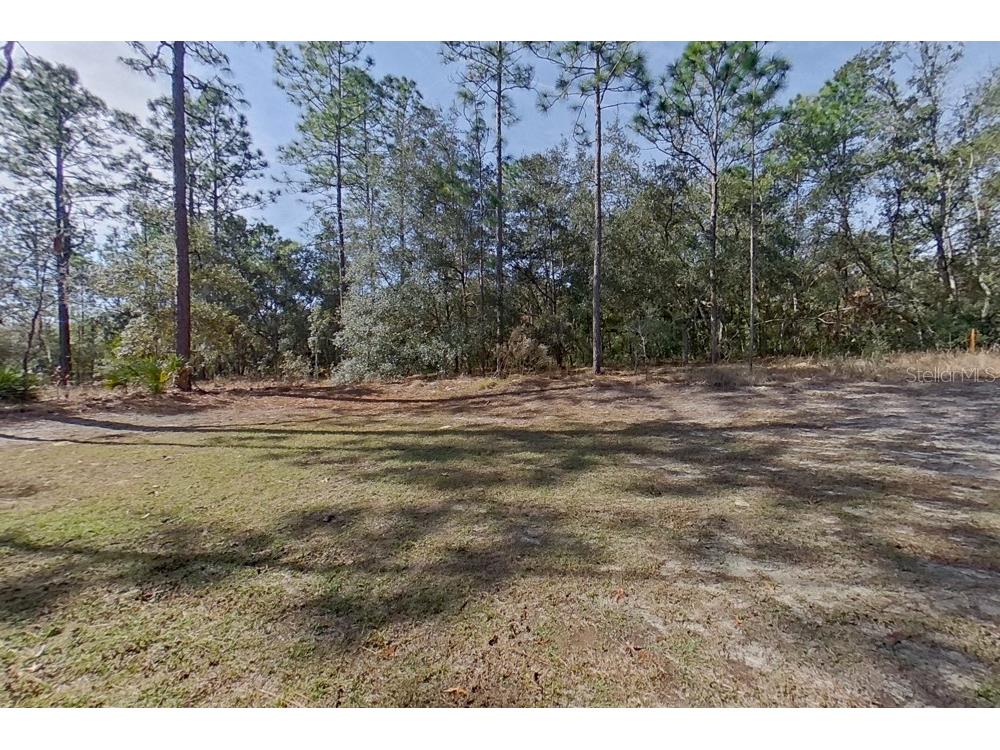 10872 N Frantz Avenue Citrus Springs FL 34434 O6404540 image16