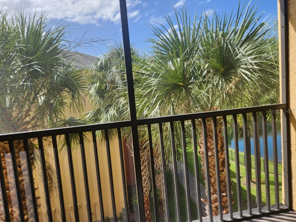 10873 Windsor Walk Drive #4302 Orlando FL 32837 O6349822 image12