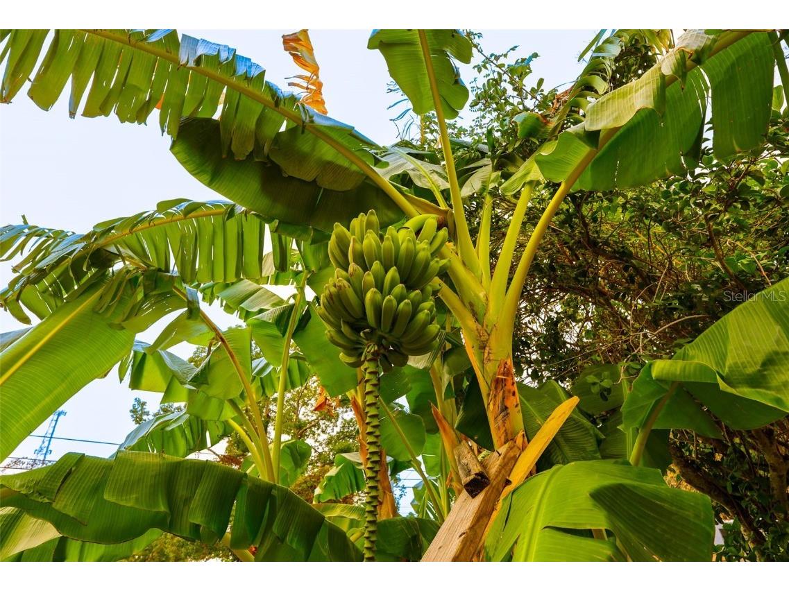 10874 71st Avenue Seminole FL 33772 TB8455225 image21