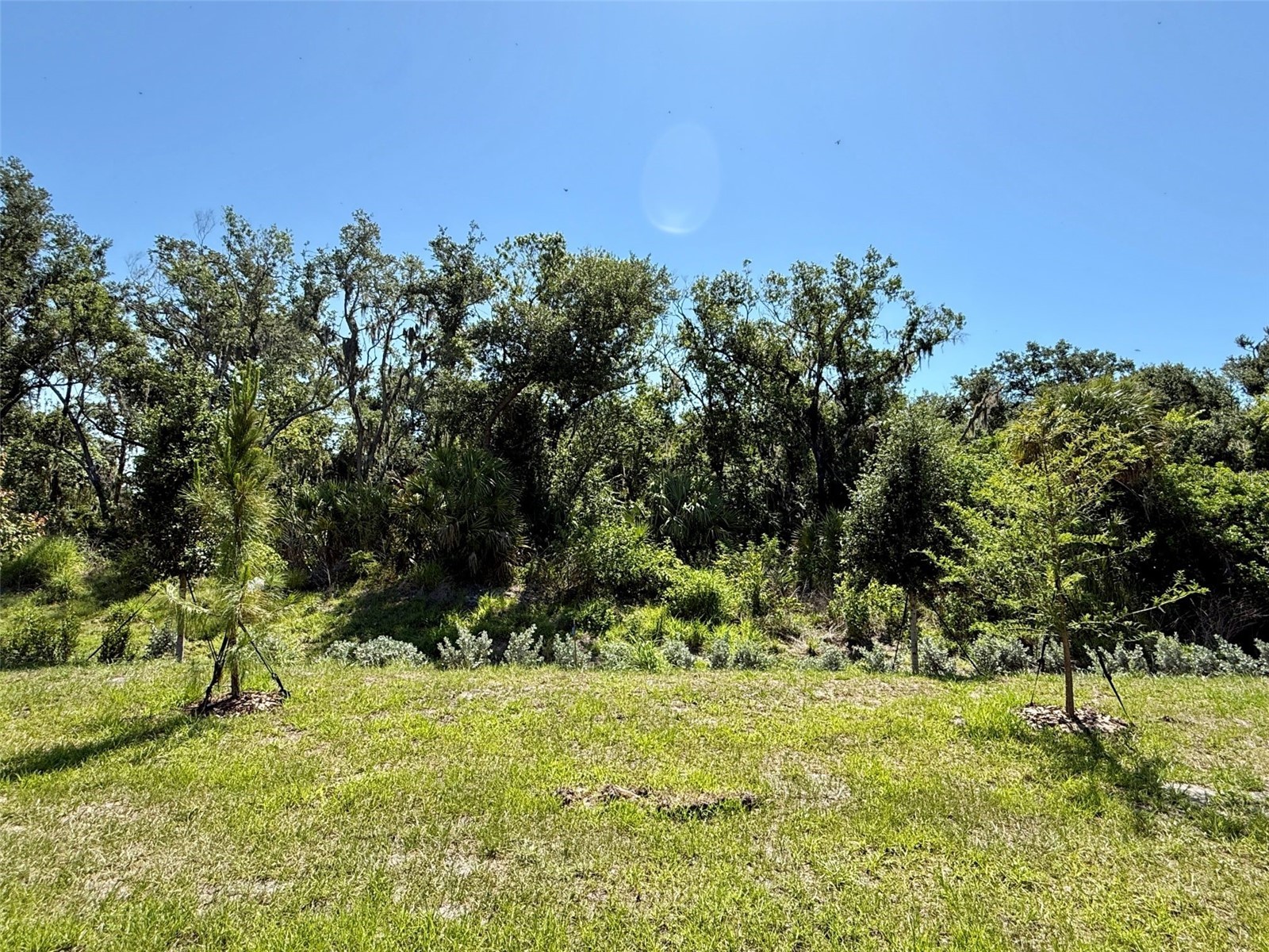 10874 Curving Creek Loop Parrish FL 34219 TB8509912 image4