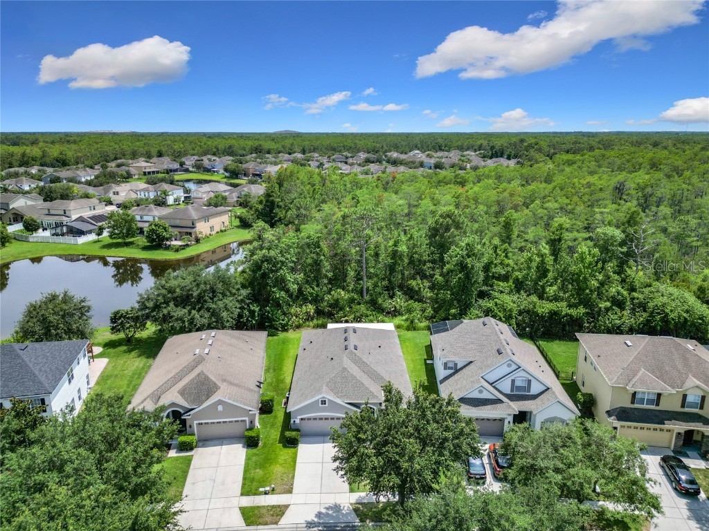 10875 Arbor View Boulevard Orlando FL 32825 O6316721 image4