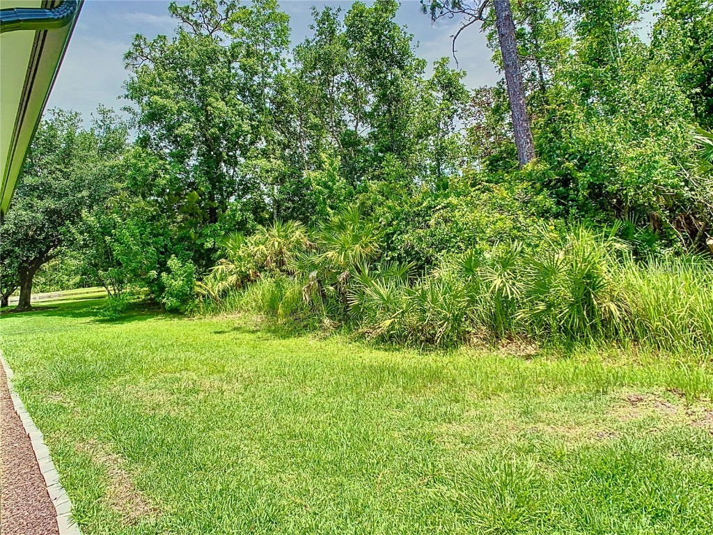 10875 Arbor View Boulevard Orlando FL 32825 O6316721 image60