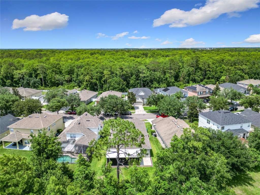 10875 Arbor View Boulevard Orlando FL 32825 O6316721 image63