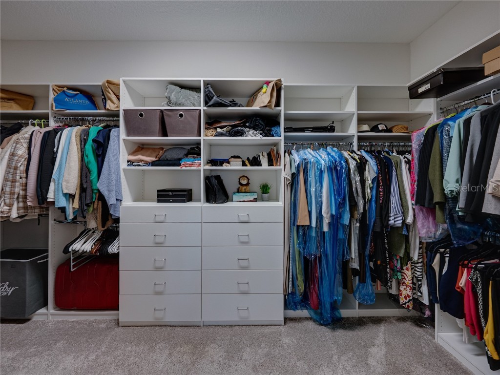 10877 Rustic Timber Loop San Antonio FL 33576 TB8440611 image58