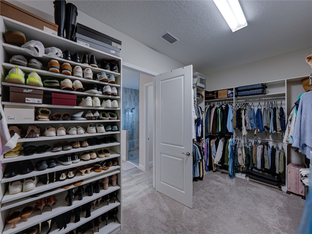 10877 Rustic Timber Loop San Antonio FL 33576 TB8440611 image59