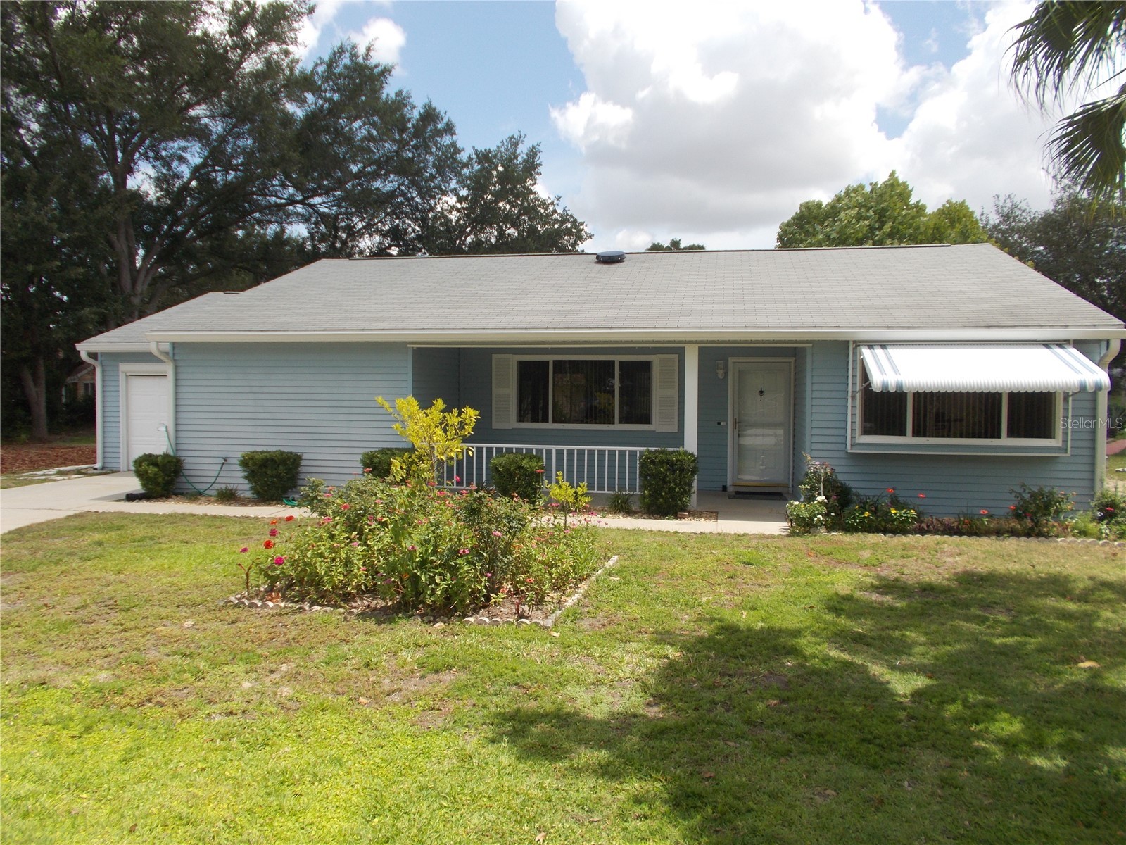 10877 SW 88th Court Ocala FL 34481 OM726734 image2