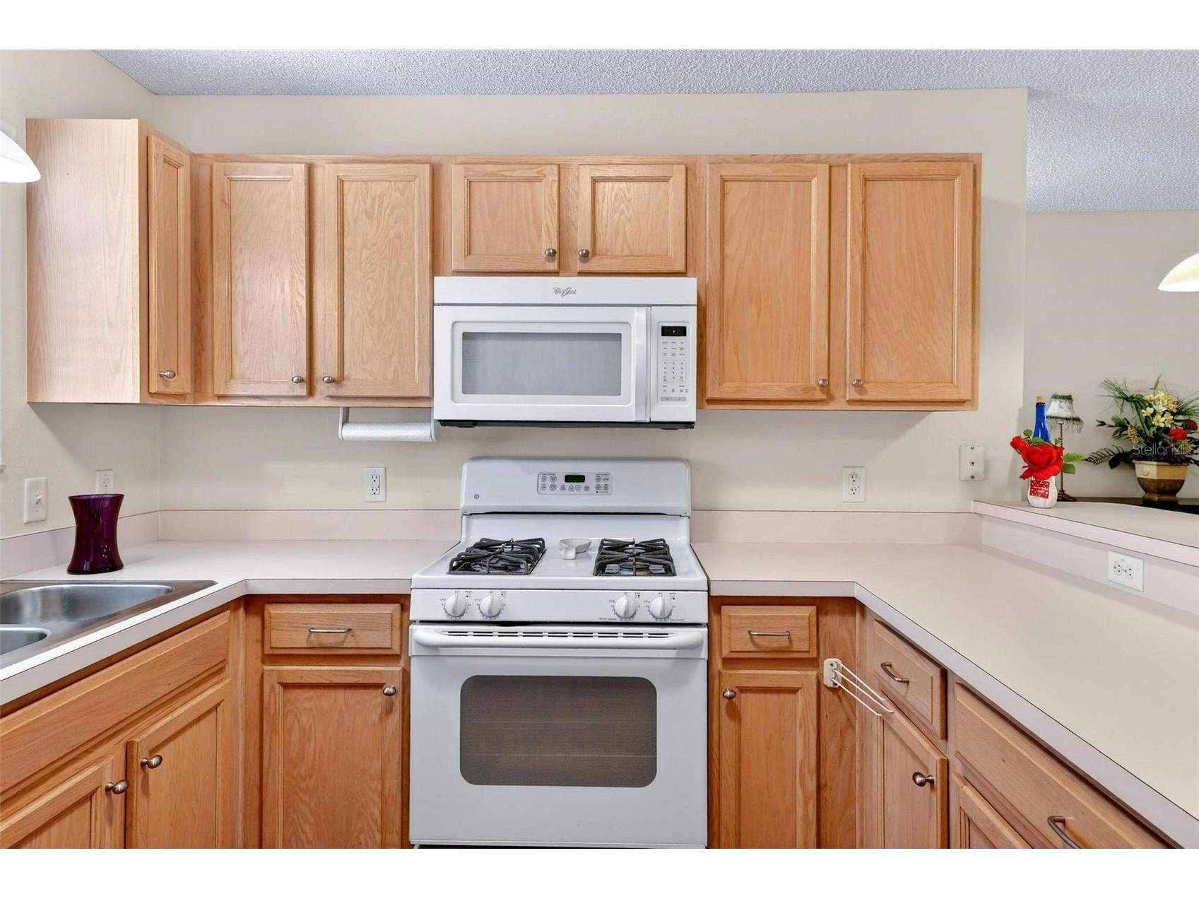 1088 Gennesse Lane The Villages FL 32162 O6395404 image15