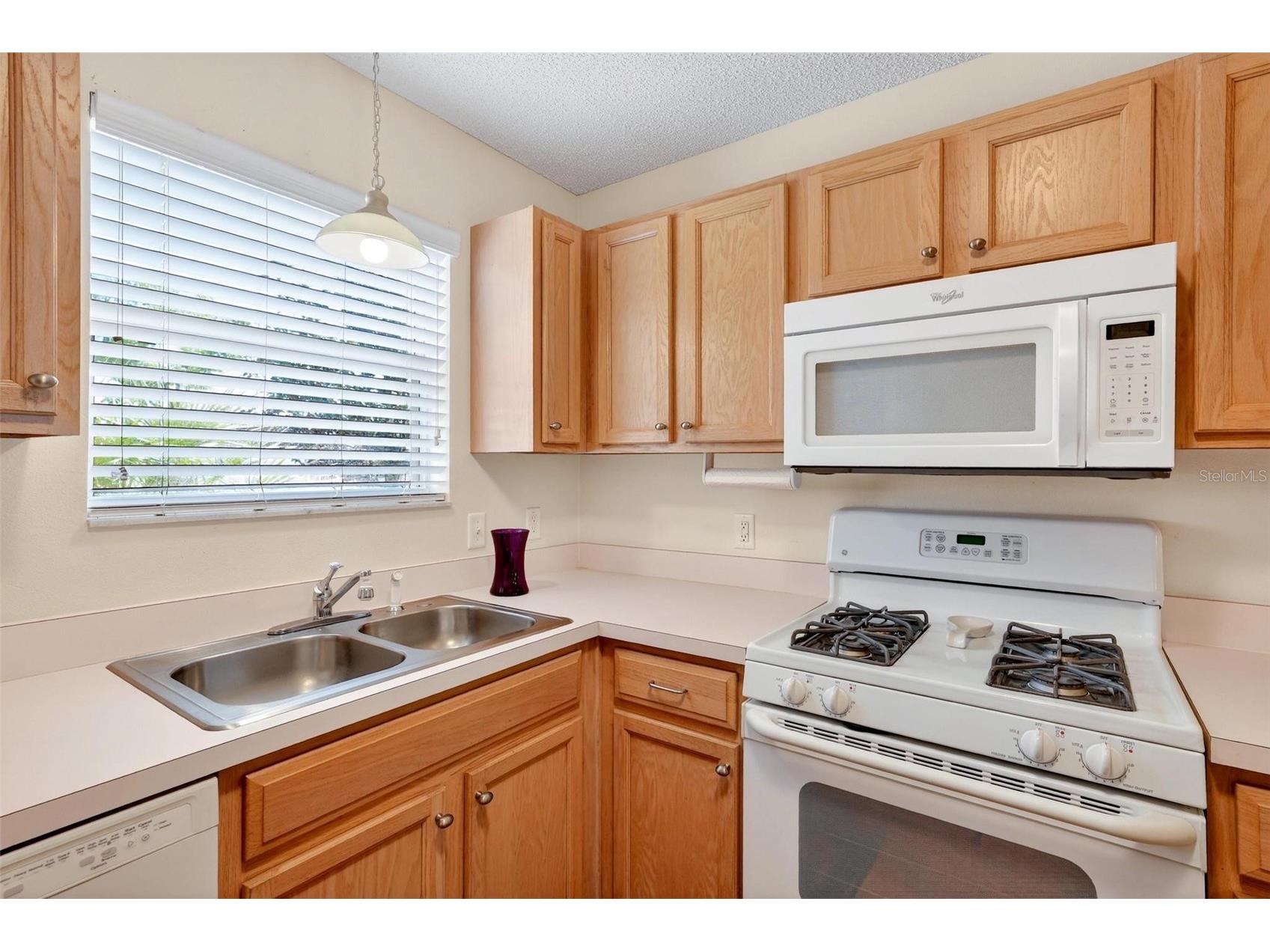 1088 Gennesse Lane The Villages FL 32162 O6395404 image16