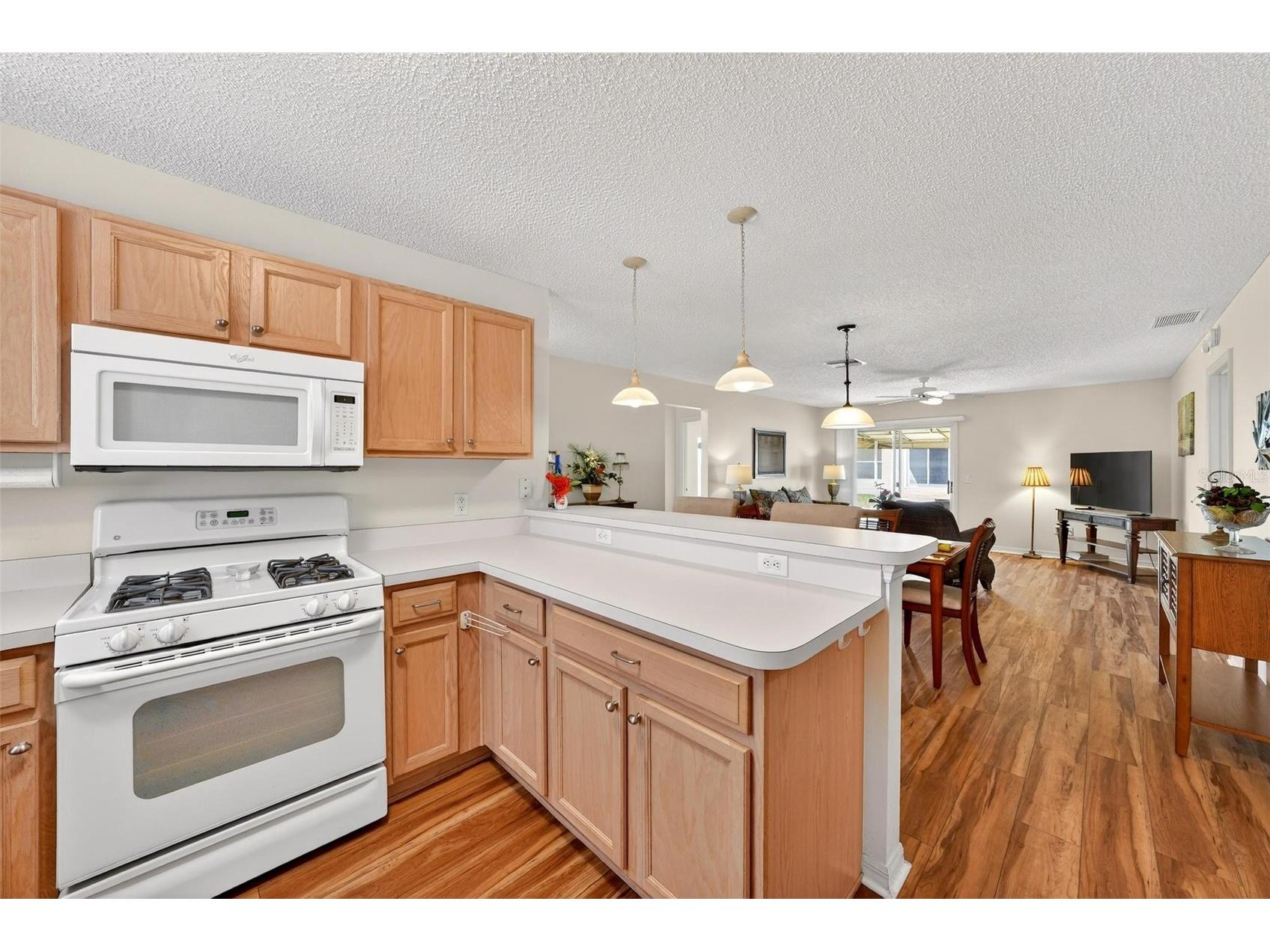1088 Gennesse Lane The Villages FL 32162 O6395404 image17