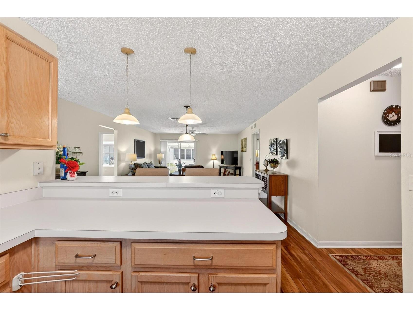 1088 Gennesse Lane The Villages FL 32162 O6395404 image18