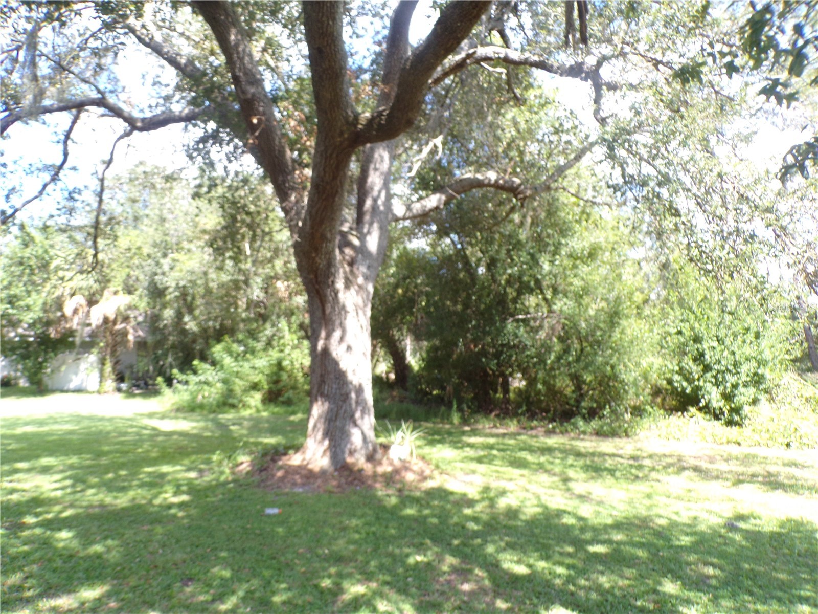 1088 Melville Road #A Punta Gorda FL 33983 C7527632 image22