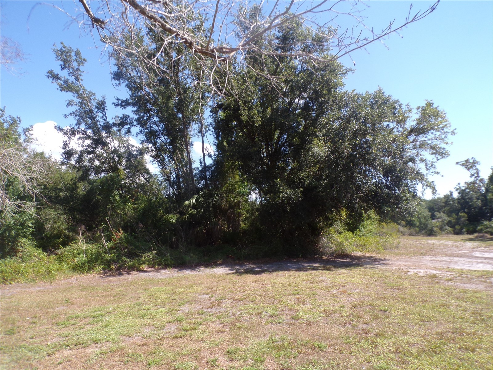 1088 Melville Road #A Punta Gorda FL 33983 C7527632 image23
