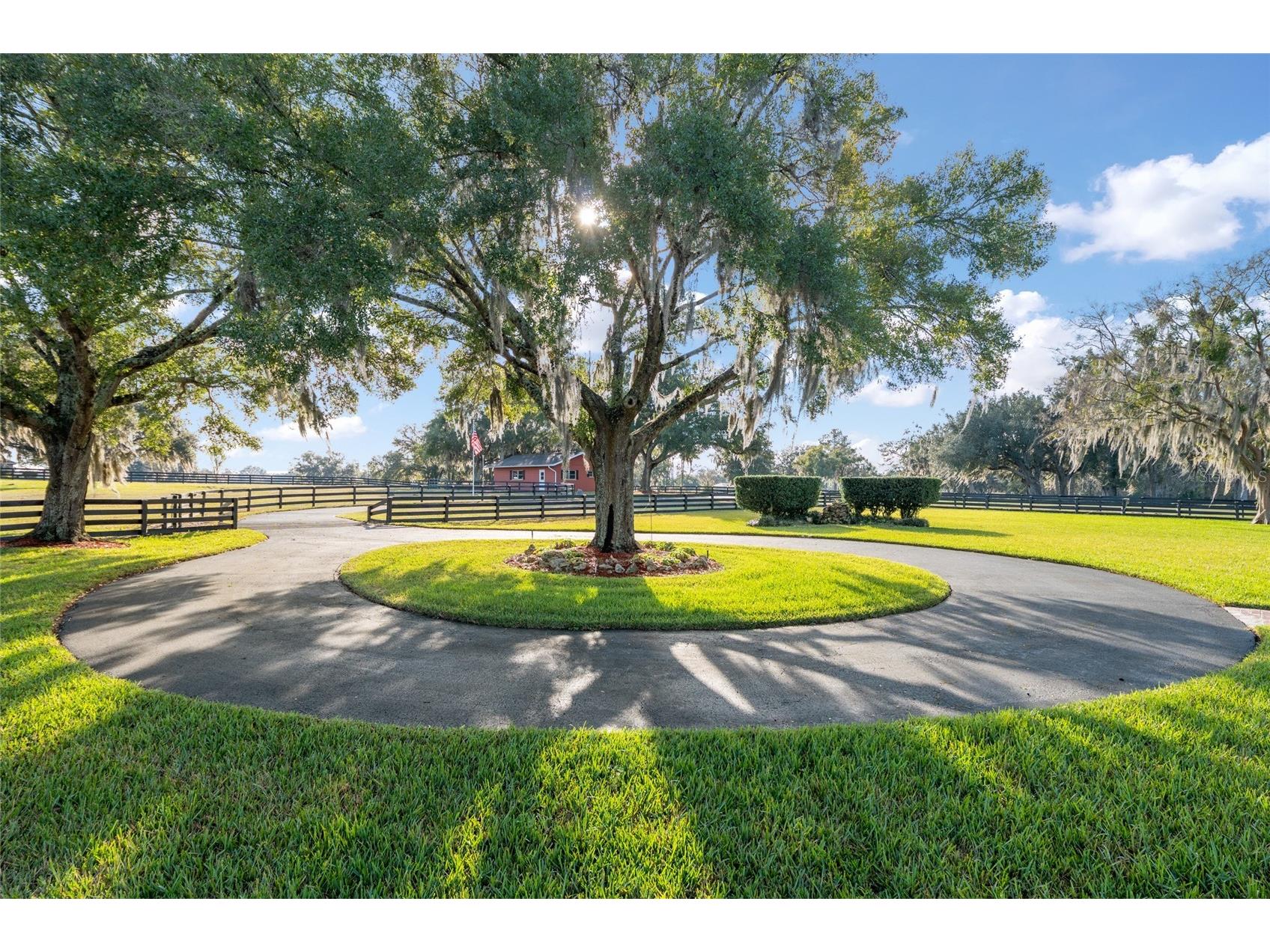 10880 NW 160th Avenue Morriston FL 32668 OM716654 image47