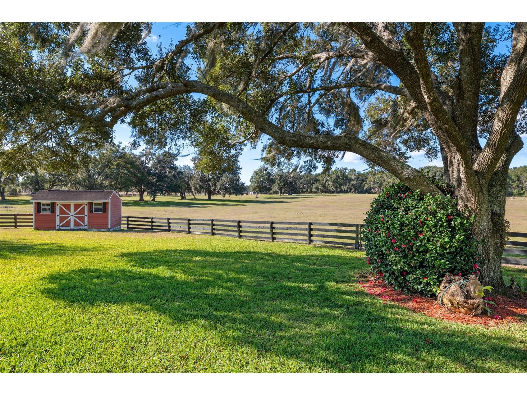 10880 NW 160th Avenue Morriston FL 32668 OM716654 image8