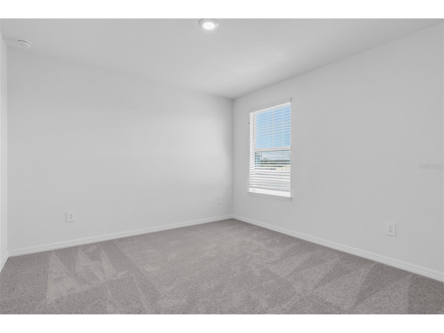 10881 Molasses Way New Port Richey FL 34655 W7884323 image35