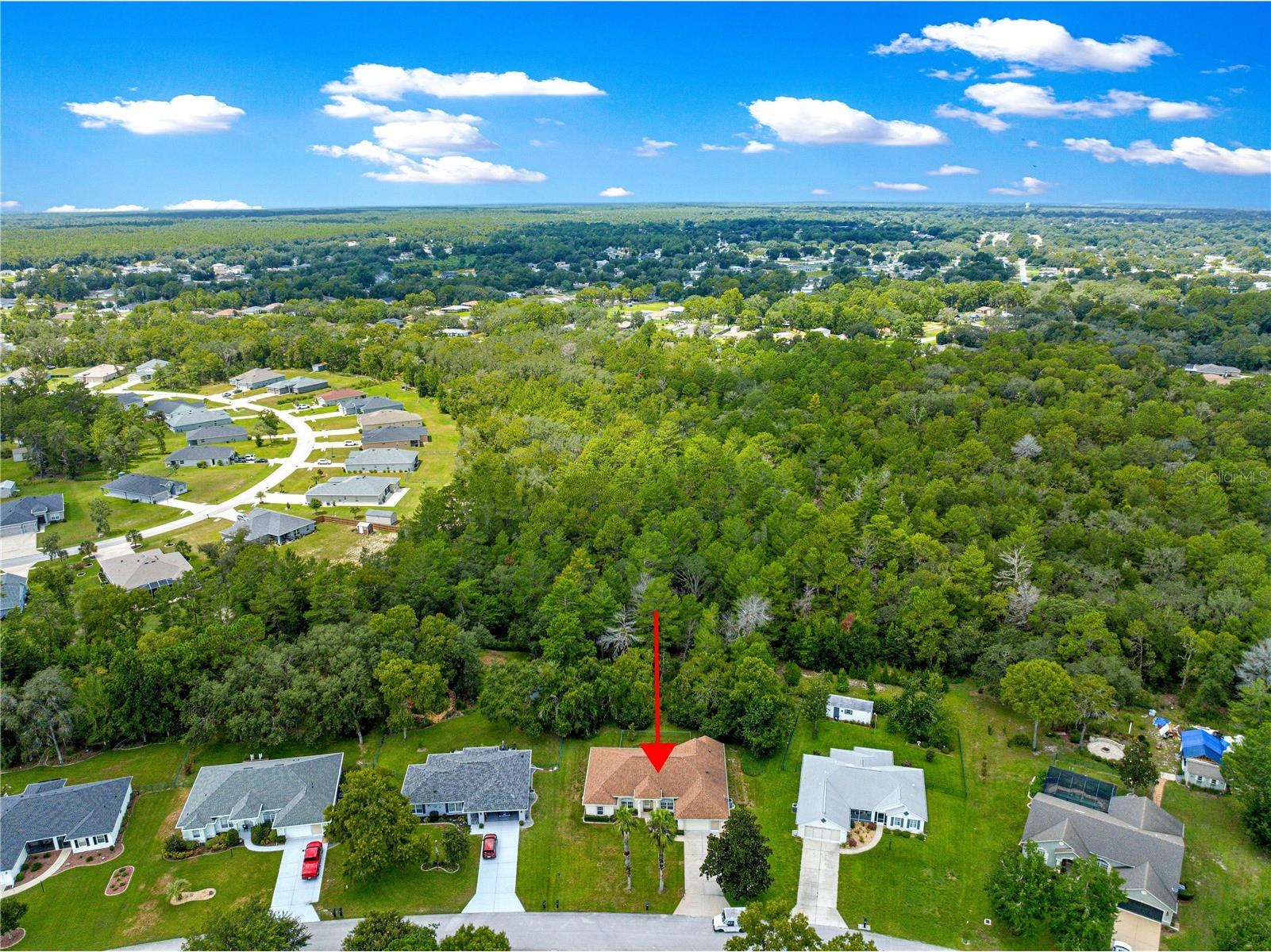 10884 SW 53rd Circle Ocala FL 34476 OM707625 image57