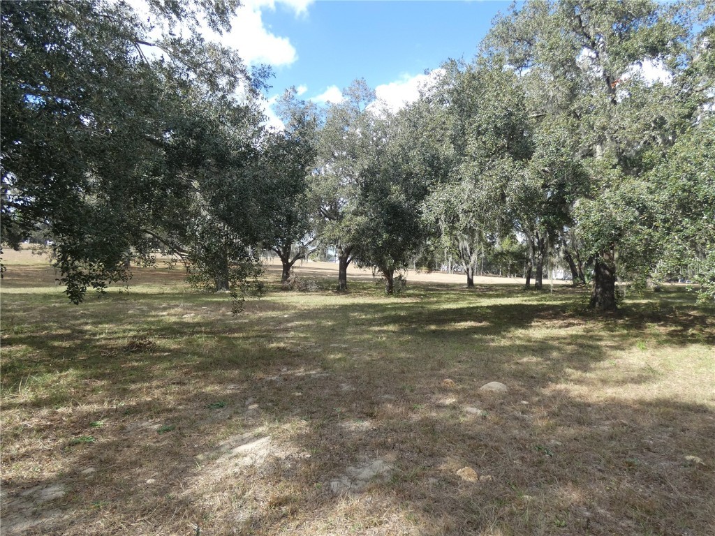 10887 N Circle M Avenue Dunnellon FL 34433 OM691440 image1