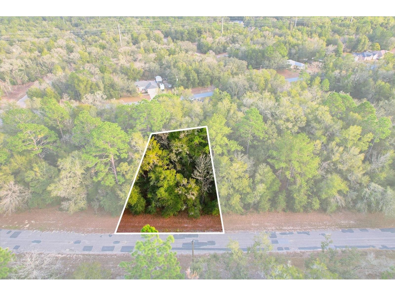 10887 N Ocean Drive Citrus Springs FL 34434 TB8468942 image1