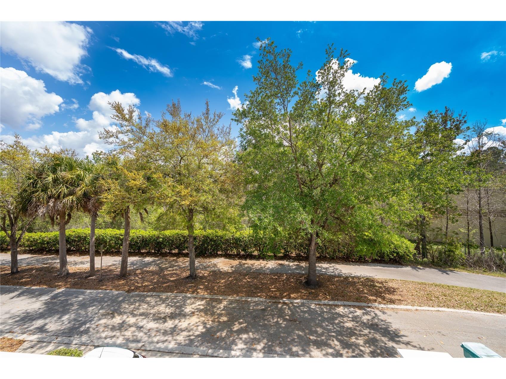 10888 Eclipse Lily Way #62A Orlando FL 32832 O6393974 image19